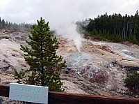 Yellowstone Norris Geyser (21).JPG
